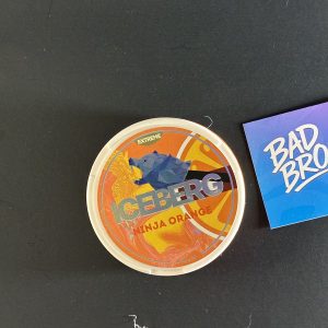 Iceberg Ninja Orange 75 mg – premium nicotine pouches Canada with fresh orange flavor