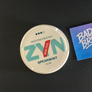 ZYN Spearmint nicotine pouches 11 mg – Canadian warehouse, fast shipping